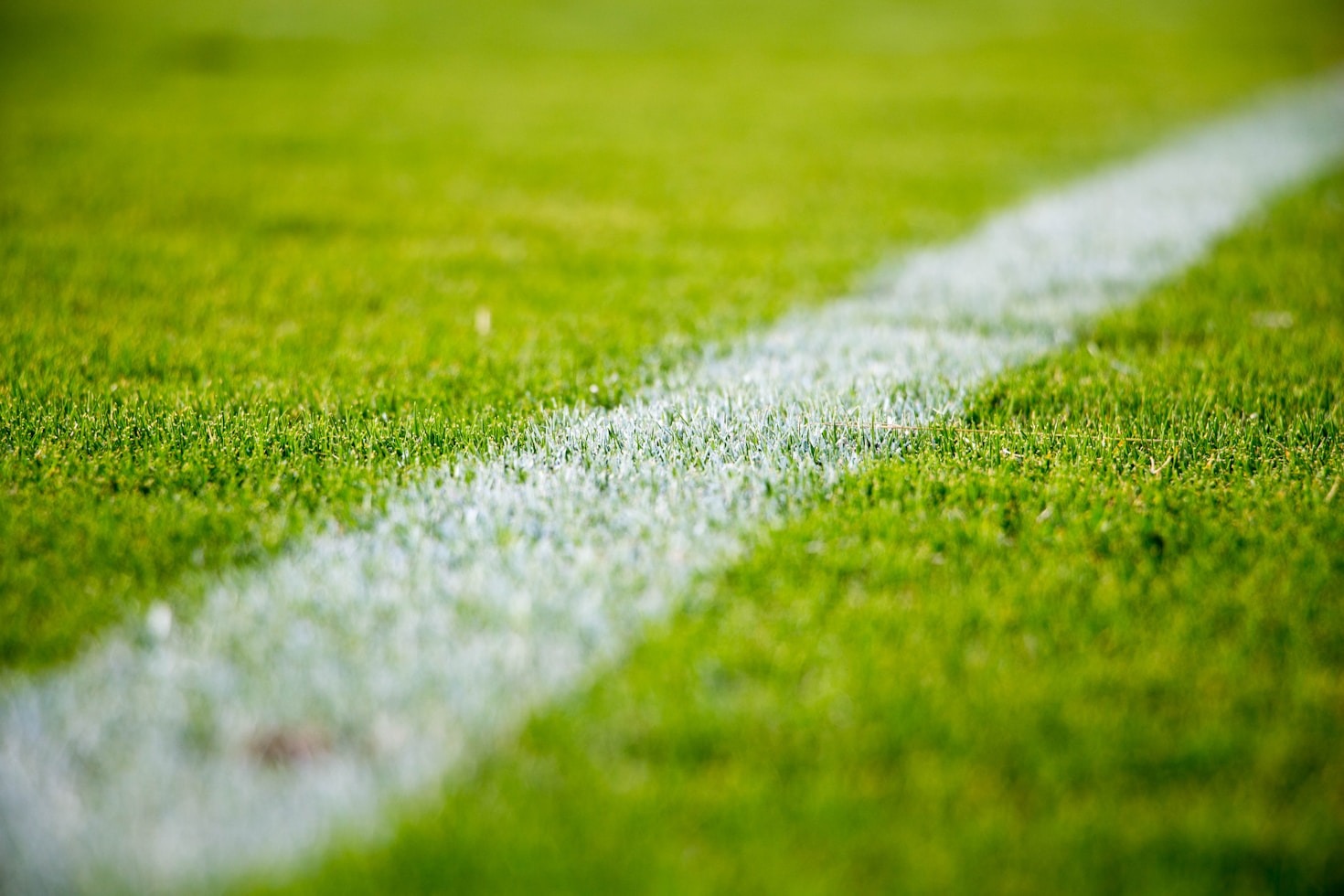 The Morning Routines That Drive Champions